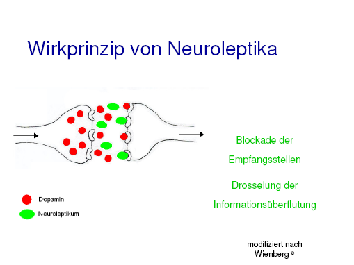 Abbildung 15: Wirkprinzip von Neuroleptika (aus www.psychiatrie.uni-luebeck.de/lehre/Schizophrenie 11.03.2008)